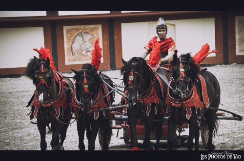 Le Quadrige rouge, de Rotuba de Carthage  