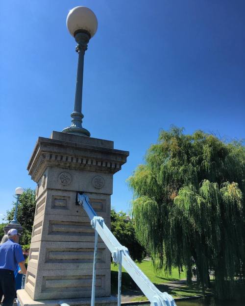 #boston #ma #Massachusetts #newengland #bostonpublicgarden #bostonpublicgardens #nature #nature_perf