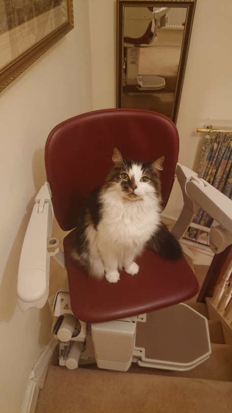 cat stair lift