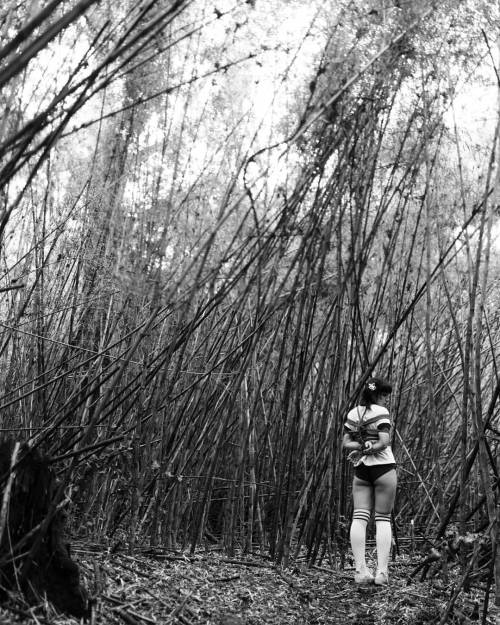 Bosques&hellip; #temuco #shibari #kinbaku #cuerdas #ataduras #bondage #rope #forest (at Temuco, 