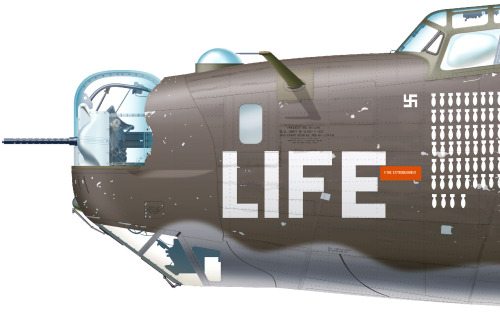 donotdestroy:  Consolidated B-24 Liberator Aircraft illustration 