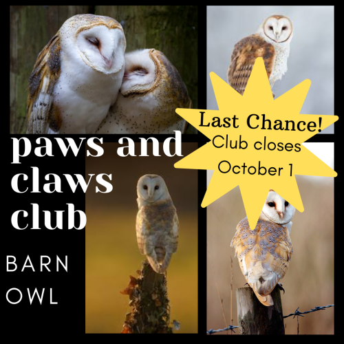 Last chance! This club closes for sign-ups on October 1st. Celebrate your four-legged friends and lo