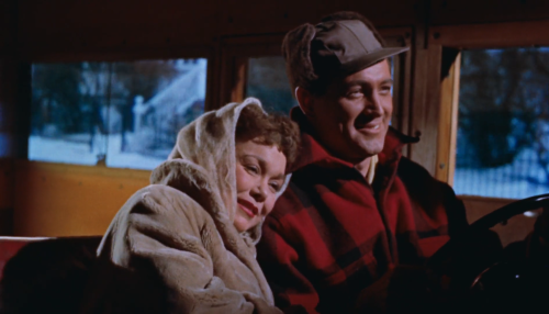 All That Heaven Allows (Douglas Sirk, 1955)