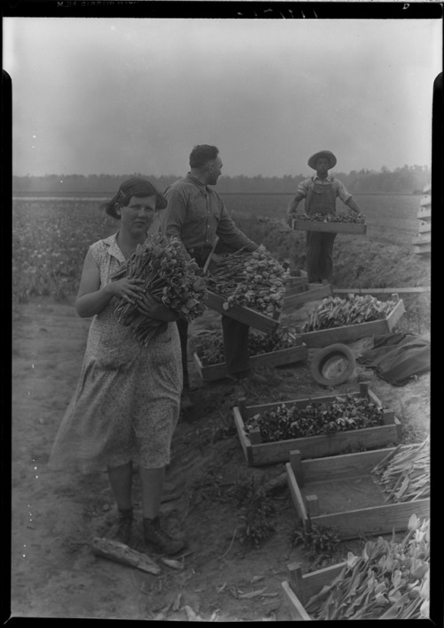 Photographs by pioneering North Carolina photographer Bayard Wootten have been given new life thanks