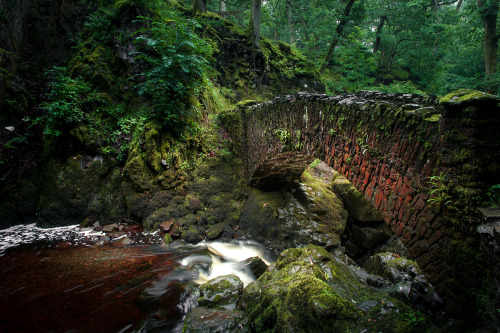 freddie-photography:  Forests and Fog - Oxfordshire & Cumbria9 new presets to download for Lightroom editing at Creativemarket.com. Version 1.4 now offers a total of 64 presets for a large range of photography.By Frederick Ardley Photography