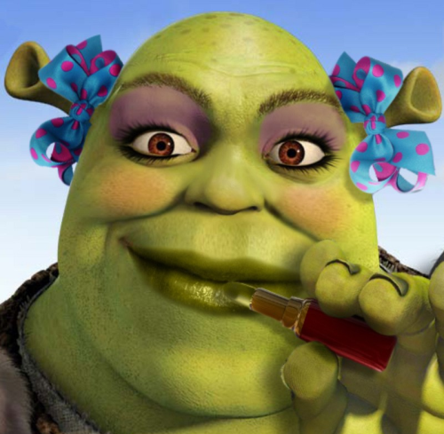 surprisebitch:sexaulity:kiss me hard before you goshrekertime sadness