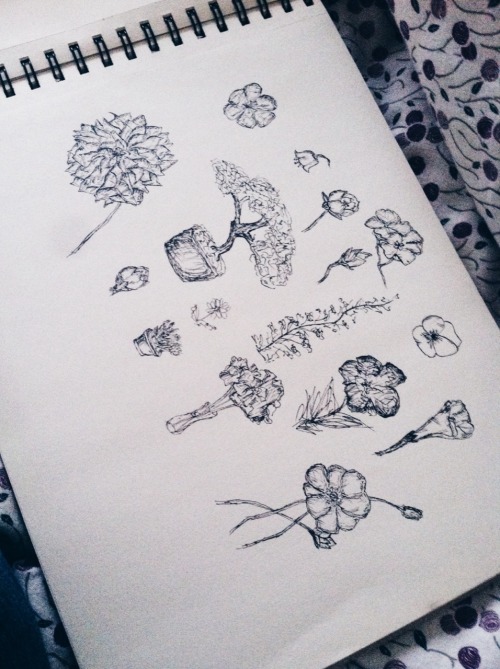 airudite:40/365: Foliage doodles featuring a deteriorating sense of motivation 🌿
