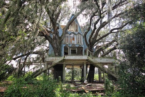 An abandoned Victorian tree house somewhere in South Florida