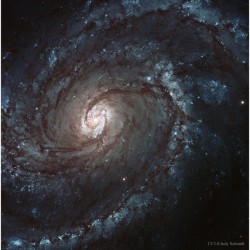 M100: A Grand Design Spiral Galaxy #nasa