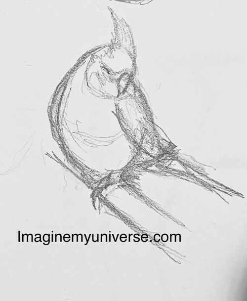 Just a quick sketch of a cockatiel. Sometimes it is fun to go through some old sketches and see what