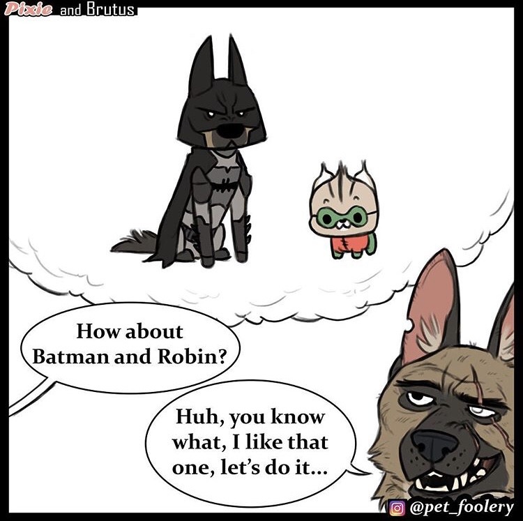 littleprincessfullawuv:  catchymemes:  New Pixie and Brutus comic @pet_foolery  I