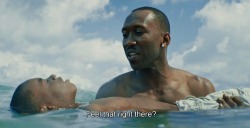 nadi-kon: Moonlight (2016) dir. Barry Jenkins