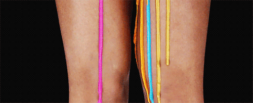 ceresmon:  FKA twigs - M3LL155X 