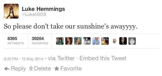 kitten5soslove:michaelpastelclifford:lukeyslegs: they are such sweethearts my heart