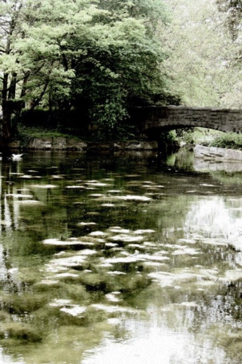 Stephen’s Green, Dublin | Suzanne Lynch