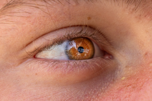 "The Eye Is The Gateway To The Soul"