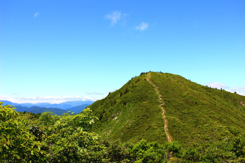 20180616（土）写真は上から大檜井岸山から見た平家岳平家岳山頂。この日は周りの山々の頂に雲がかかって、天気はいいが白山、荒島岳、御嶽山などハッキリと分からなかった。後でわかったが山頂から見えた街