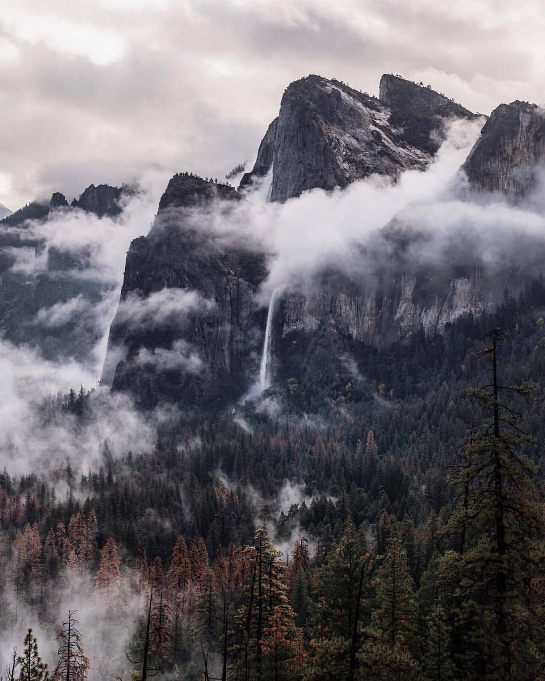 tannerwendell:  foggy bridal veil falls. yosemite. california. (at Tunnel View Yosemite)