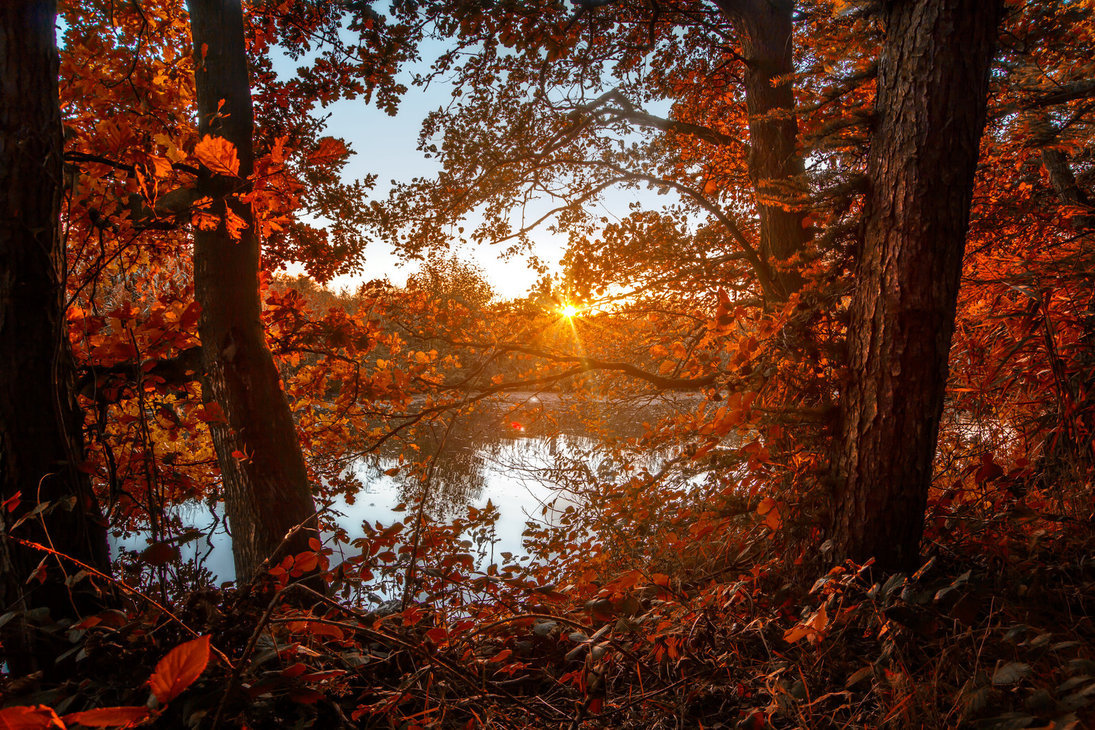 pumpkin-flavoured: bookofoctober: Lost Autumn by t-3-t  x halloween / autumn blog
