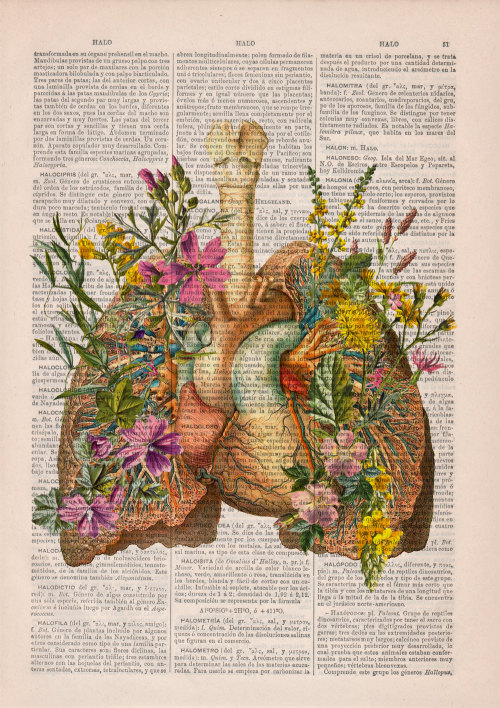 amythe3lder: culturenlifestyle: Anatomical Collages on Vintage Dictionary Paper Spanish shop PRRINT 