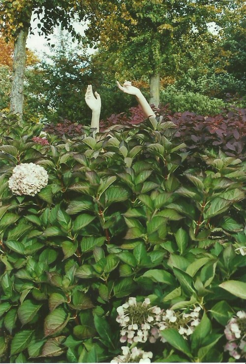 mariekebosma:  hands // 35 mm film by marieke bosma