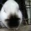 bunsforall