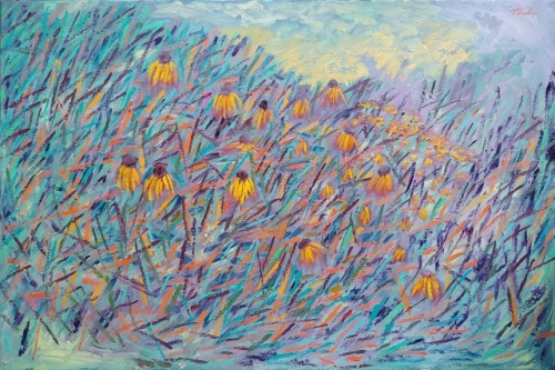 Meadow Of Coneflowers, Oil On Canvas, 24x36 In