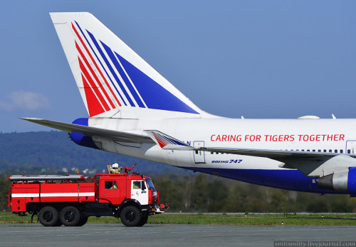 Transaero’s Siberian Tiger Boeing 747 in Vladivostok