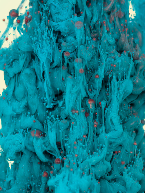 blazepress:  New Incredible Underwater Ink Photographs by Alberto Seveso