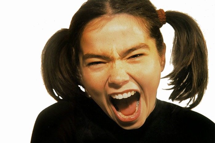 katebush:bjork (1993)