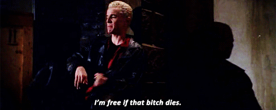 lopeircee:  spike &amp; buffy; a summary 