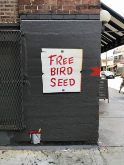 sixpenceee:  ‘Free Bird Seed’ Graffiti