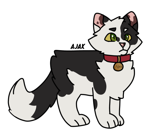 Ajax! He’s adorable. Probably, I haven’t read any books he’s in. I get most of my info from the wiki since I stopped reading before the second chapter of moonlight :p #Ajax #river of fire #tigerheart’s shadow#kittypet#warriors#warriors fanart#warriors designs