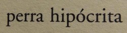 un-diamante-roto:c-h-i-c-a—a-n-o-n-i-m-a: