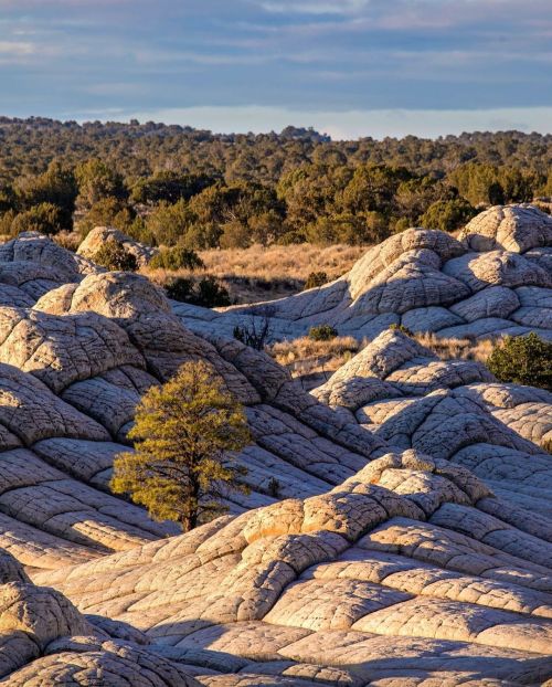 Funky rock . . . . #whitepocket #azphotography #hikearizona #visitarizona #wonderfulsouthwest #lands