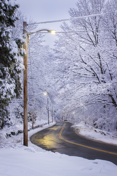 The blizzard brought us a gift. ^_^- Ali Photographywww.aliphotog.com