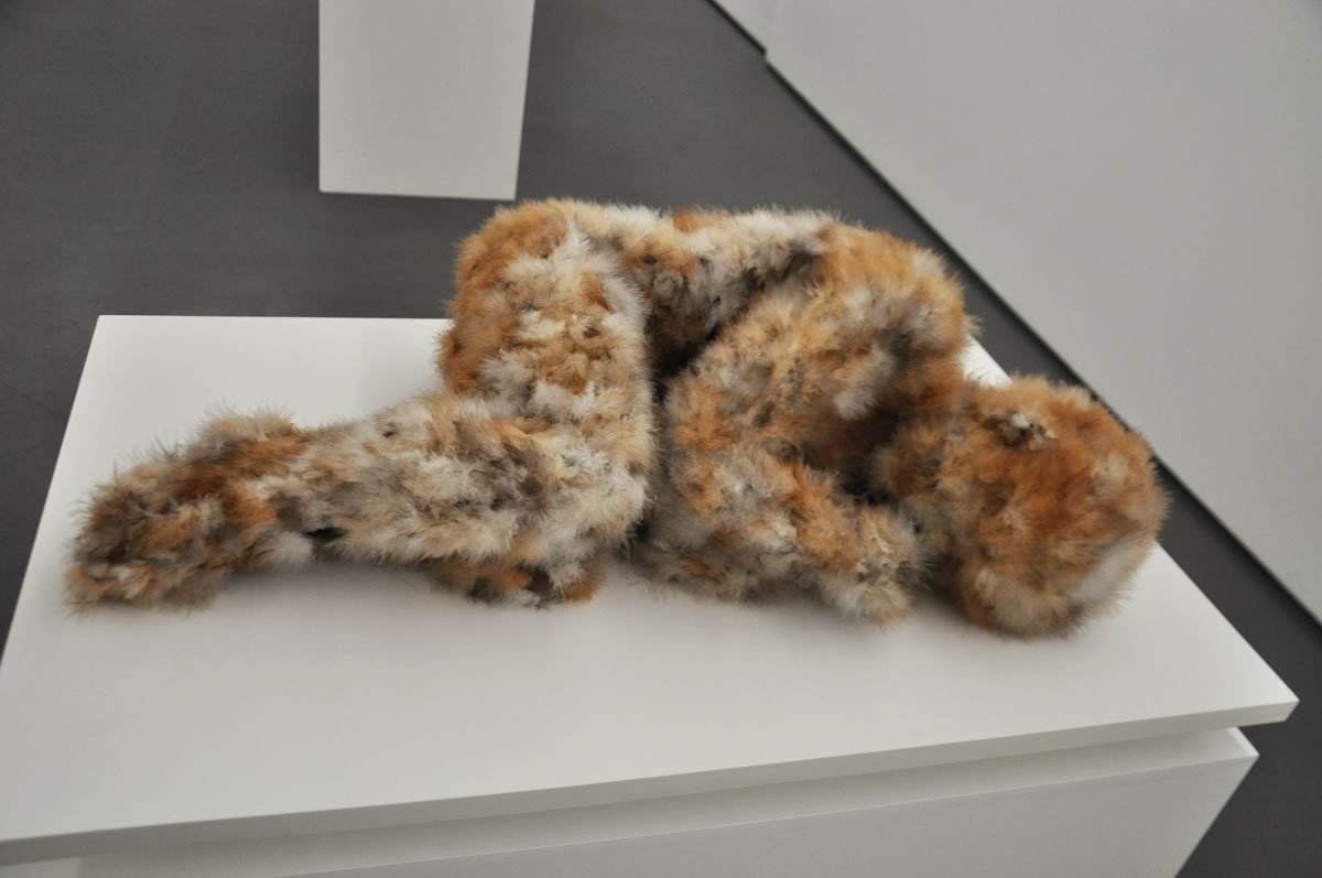 artmonia:  Lucy Glendinning – sculptor and installation artist.  WHAT THE FUCK??