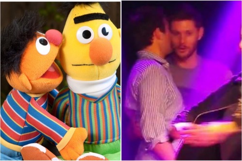 destielette:  “There are two things I know for certain: one, Bert and Ernie are gay” . . . . Credits : photo op 1 Photo op 2 photo op 3 Gifs : @mishasminions