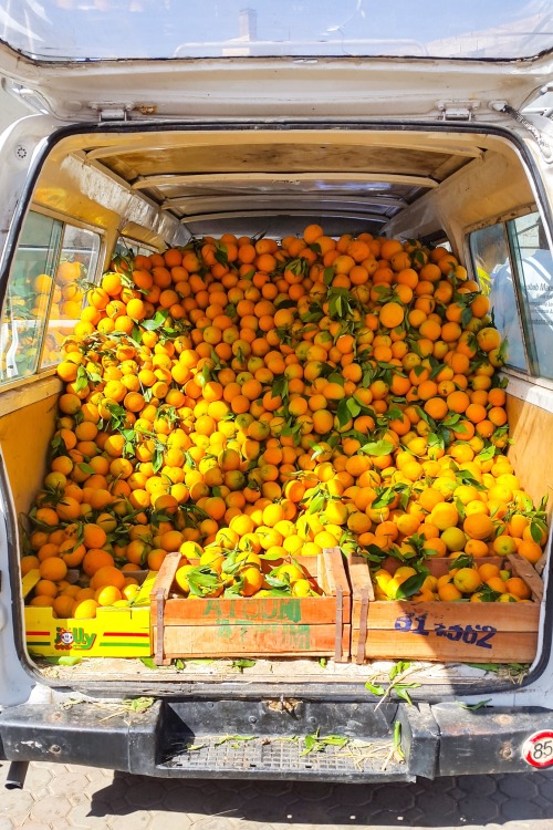 thefruitmarket: radiantplantlife: Loaded van Fresh OJ stops in Morocco are the very best  Follo