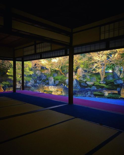 圓徳院庭園 [ 京都市東山区 ] Entokuin Temple Garden, Kyoto の写真・記事を更新しました。 ーー豊臣秀吉の正室・北政所（ねね）の過ごした化粧御殿前に #賢庭 と #小堀