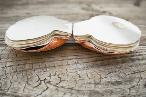 updownbindery:laurenabishop:Scallop shell artist’s book that I made filled with scans of colle