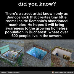 did-you-kno:  There’s a street artist known