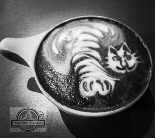 baristamaniac:mostlycatsmostly made this for you today. Thanks for your online help and posts.Thank 