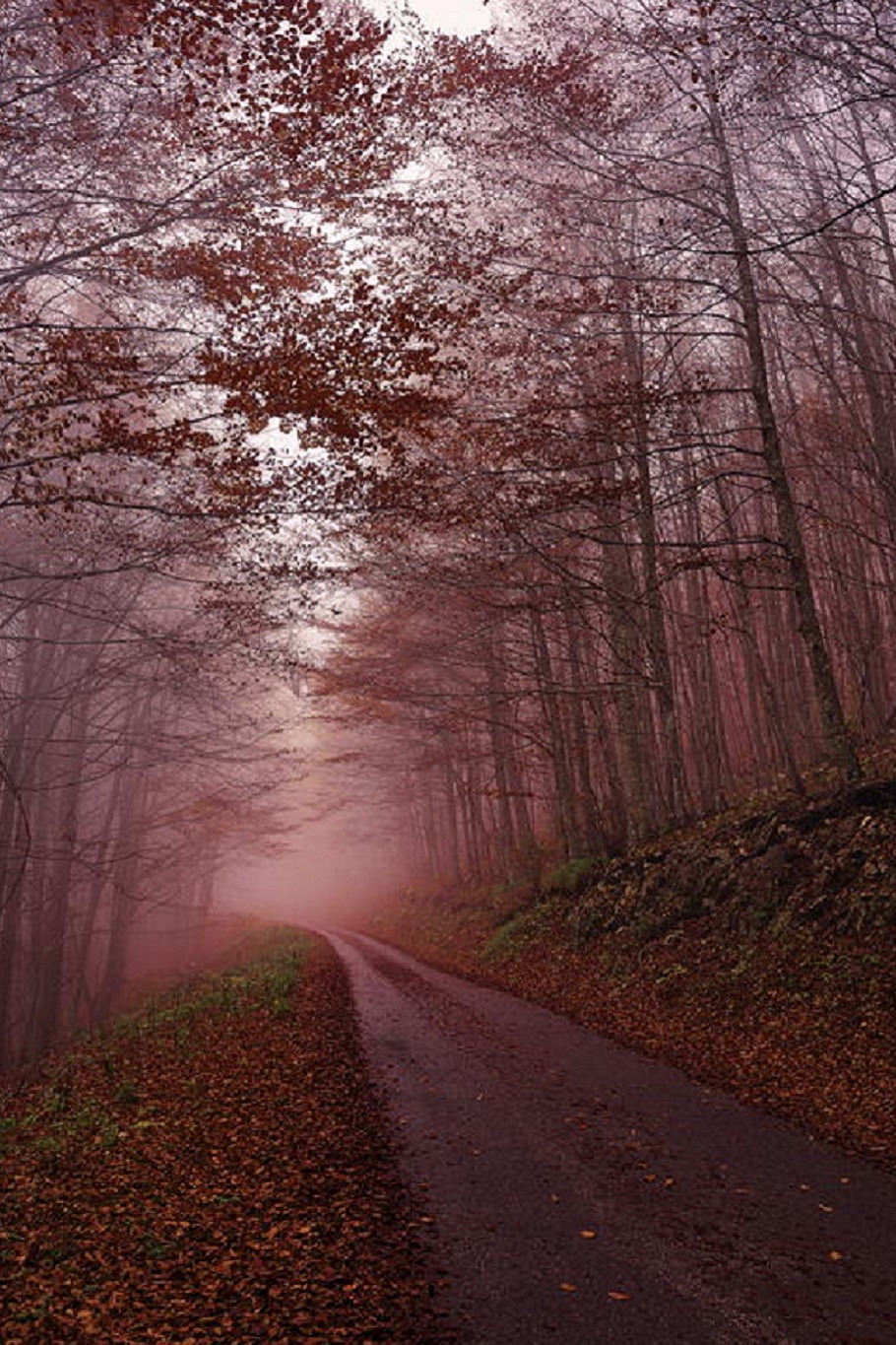 sublim-ature:   Učka, Croatia Robert Marić  Ovo je zbilja u Hrvatskoj? :O divno