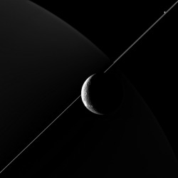 ryanpanos:    Cassini | BDiF