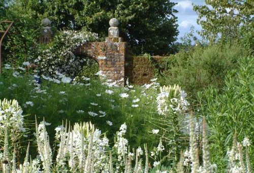 pagewoman:The White Garden,Sissinghurst Castle in the Weald of Kent,England.