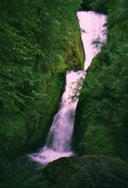 brutalgeneration:  wahclella falls (by adie