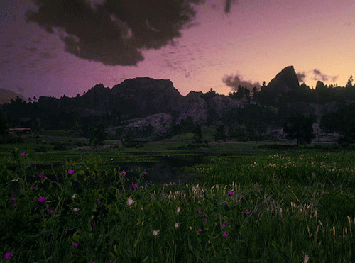 RED DEAD REDEMPTION II  • Scenery [35/?] — First Light In Heartland’s Overflow