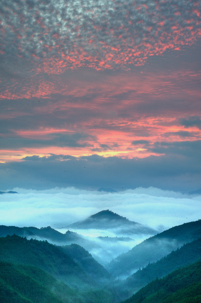 torace:  (by masa5901)