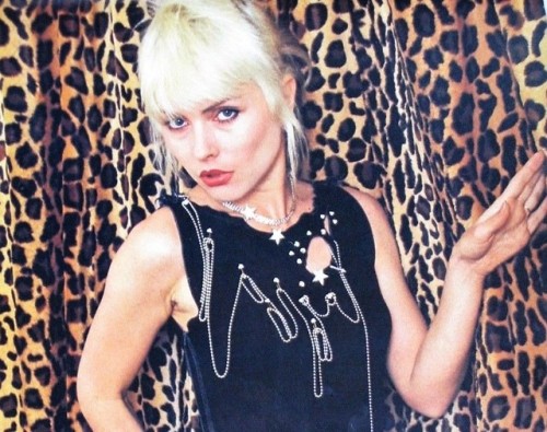 blondie-poedie:   Debbie Harry adult photos